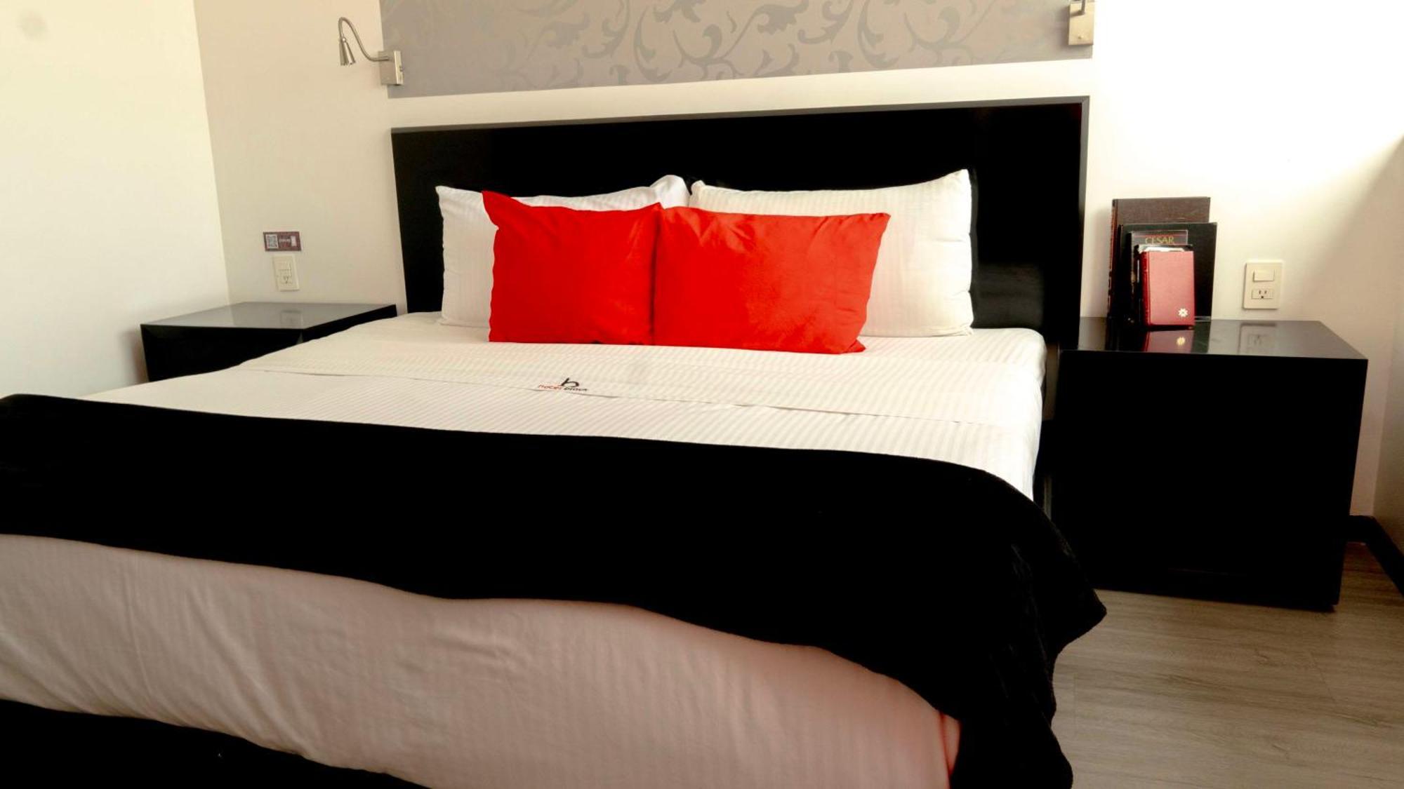 Hotel Black Boutique Мехико Экстерьер фото